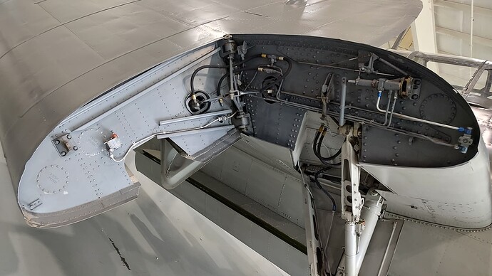 IMG_20250528_120252800_HDR