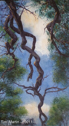 Ballet Angophora - Tim Martin - 10011