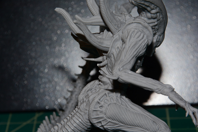 DSC_1584