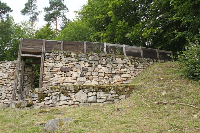 Heunischenburg Gehülz 2.8.2012 001