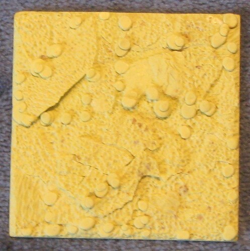 Terrain 2025_0831