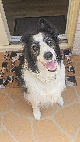 334b045b-7d88-4187-bef7-0129f723fbd1