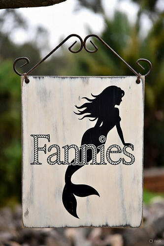 Fannies Mermaid