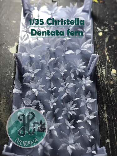 z7560219428006_dd9d7b528deaba59e4a65d89518109b8