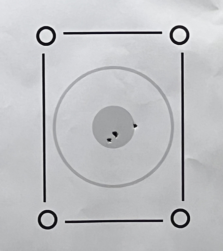 z's MP shield 9mm trial