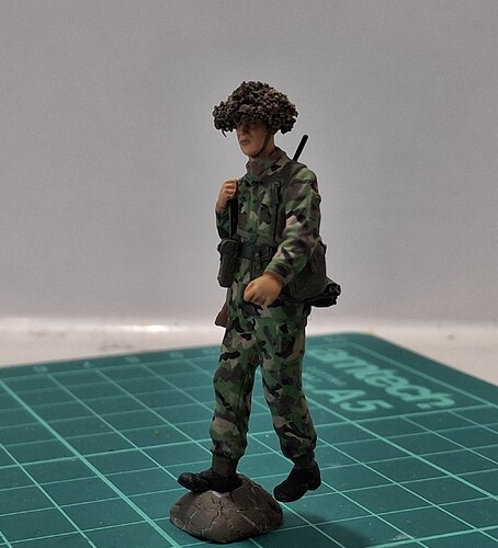Sentry (24)