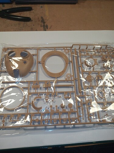 IMG_20251004_184347685