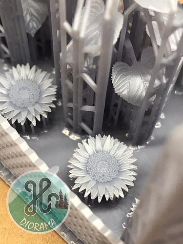 z7585595656518_9a5727855e924dd414acdb60abffb8ab