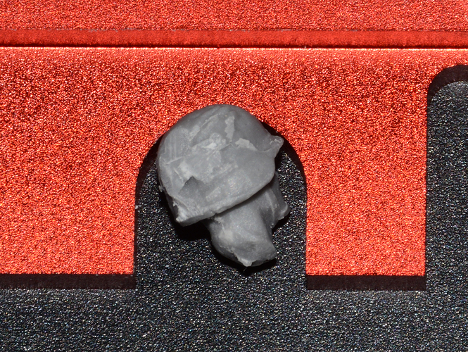 DSC_2004