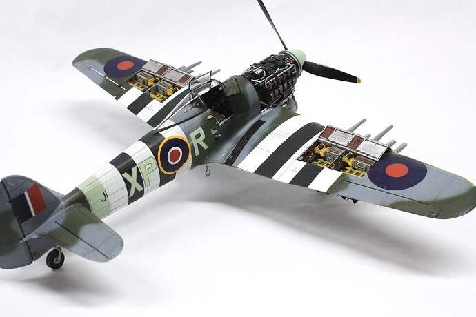Typhoon Fin 8