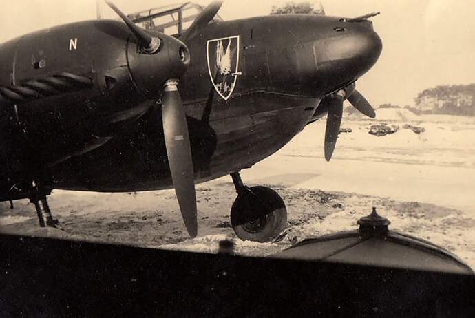 Messerschmitt-Bf-110D-Zerstorer-NJG1-with-emblem-clearly-visible-01