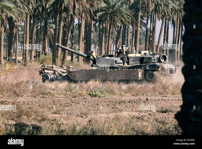 an-abrams-tank-clears-fallow-fields-surrounded-by-an-untended-palm-D1GPJX