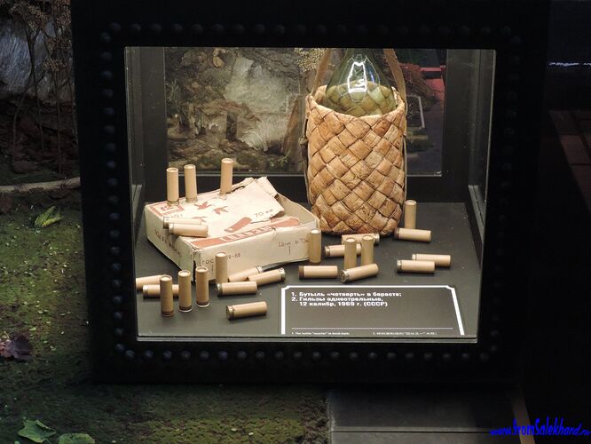 DSCN8595-fromSalekhard