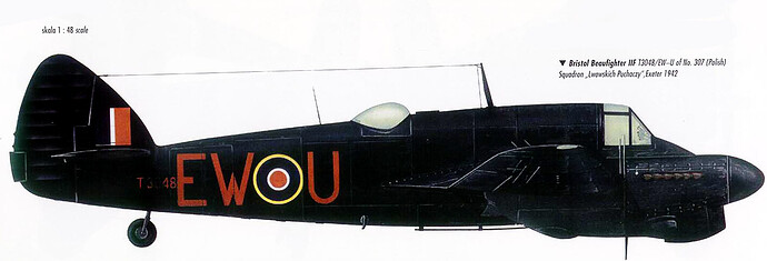 Beaufighter-IIF-RAF-307Sqn-EWU-R2445-Exeter-England-1942-Profile-0A