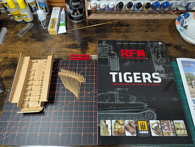 Modeling the RFM Tiger