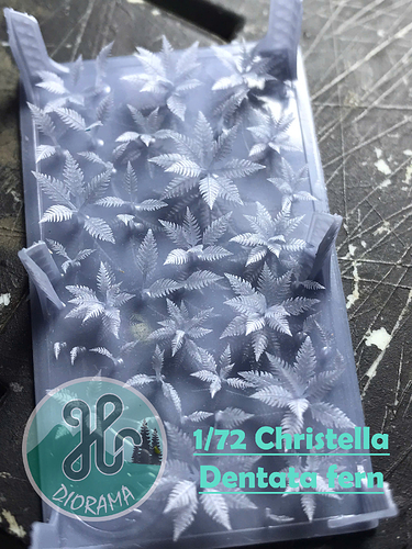 z7560281149505_4bb7297c36a2ea095efedba6c8d64dba