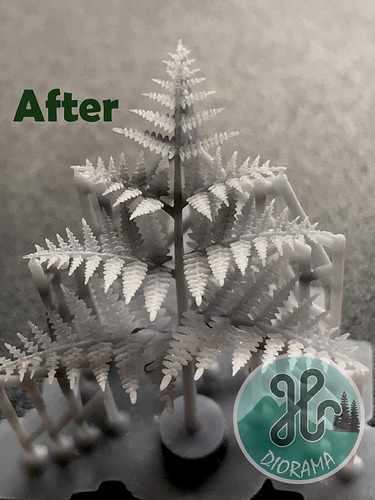 540508626_780428251145693_7246103615786419845_n