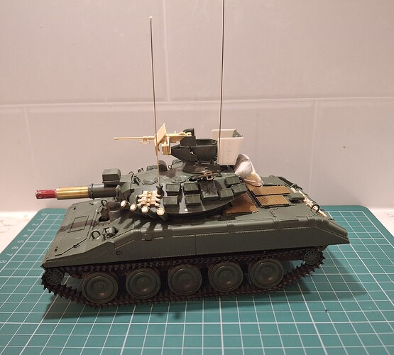 Model (1)