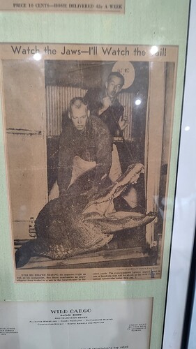 IMG_20250528_121023413_HDR