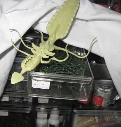 Devil Face 2024_1124