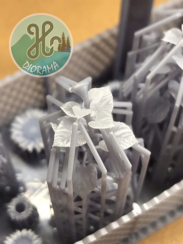 z7585595647109_4b28ecf0fb832e34679cb6758c99c76b