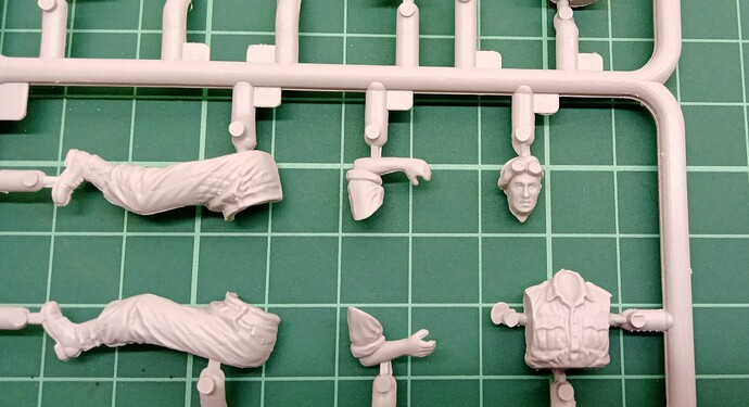 Carrier Figs (1)