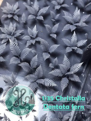 z7535353421179_18cd779aeb4a0d8f3b96dd535ac318d9