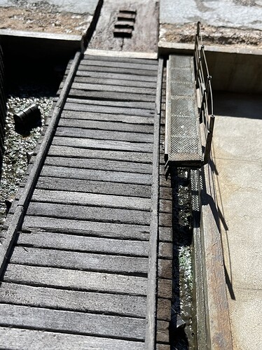 2_trestle cat