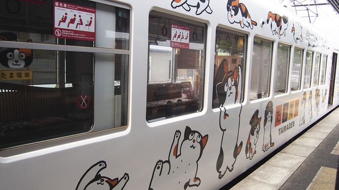 tamaden-train-1-11