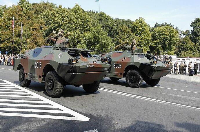 Polish_9p148_2008