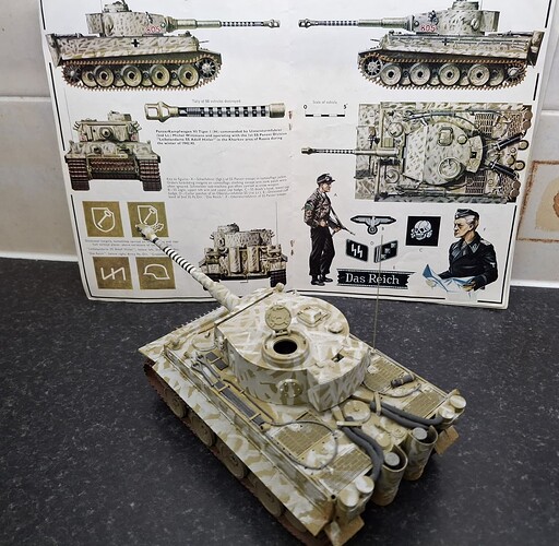 Ancient Tiger (3)