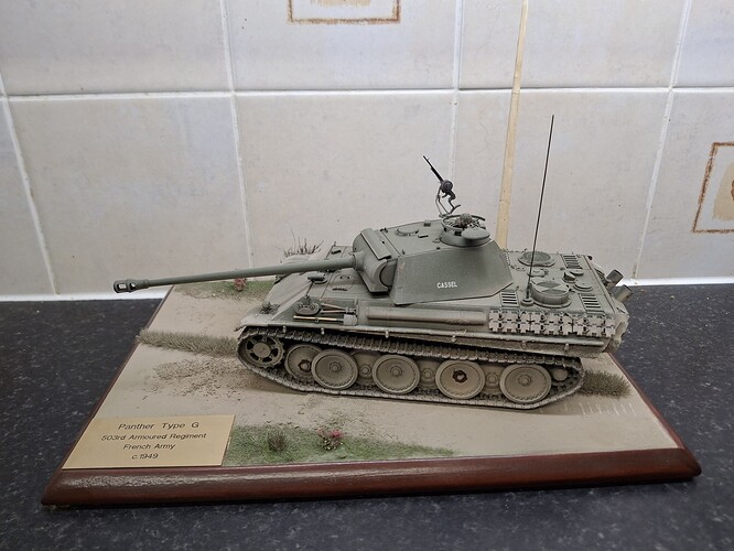 FR Panther (1)