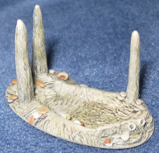 Terrain 003 20260618 01