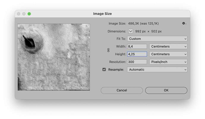 Image Size window 2