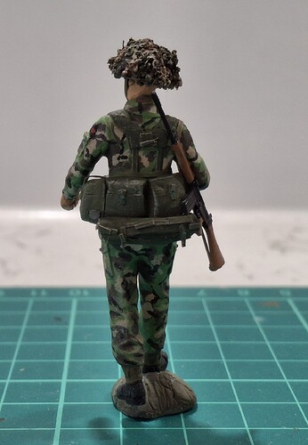 Sentry (25)