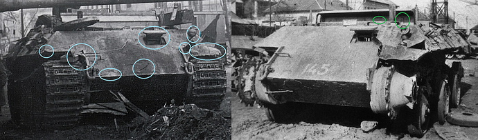 bergepanther