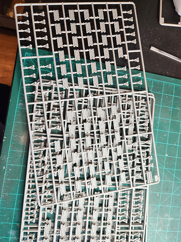 1000022435