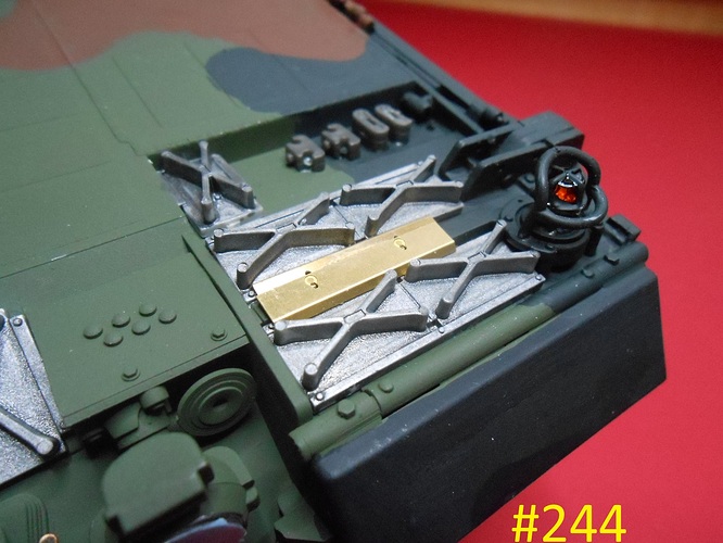 Leopard 2A6 #244