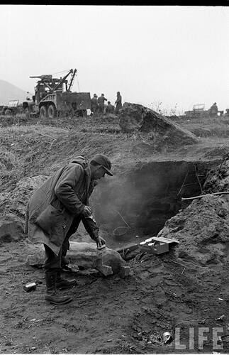 cb3500d124a69ea7_large