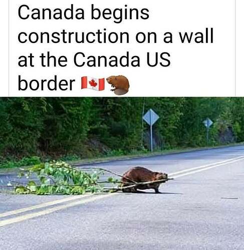 489631709_701831579170067_1136027818180872210_n