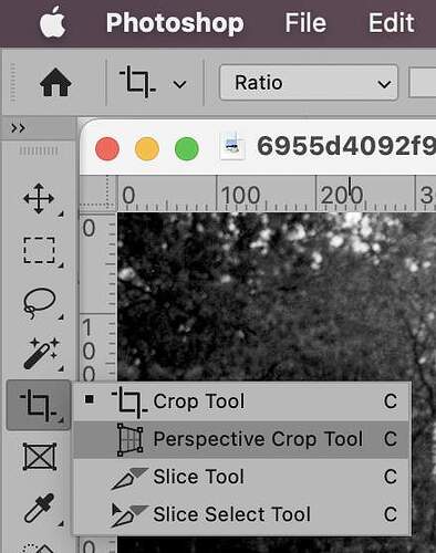 Perspective crop tool