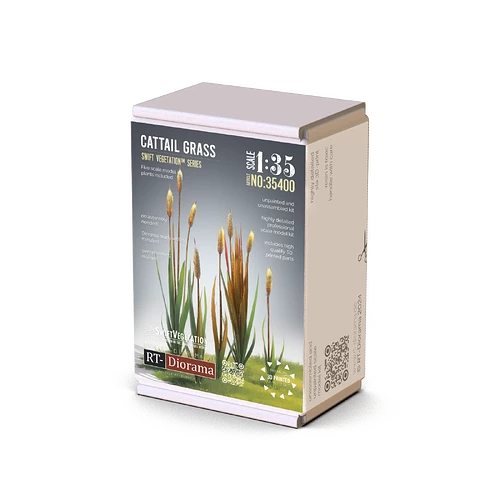Cattail Grass