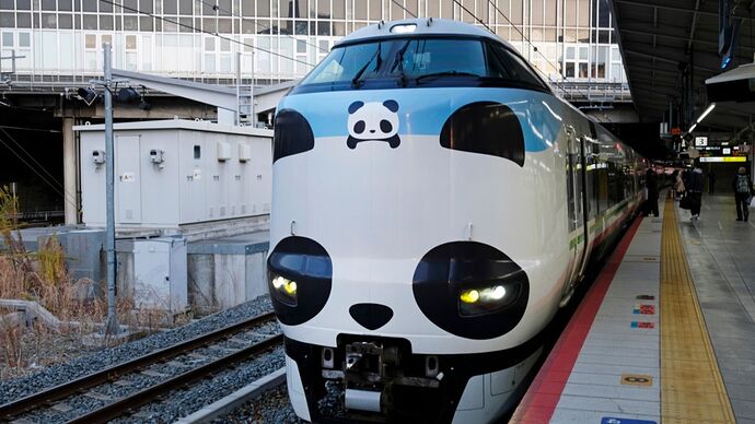 panda-kuroshio1