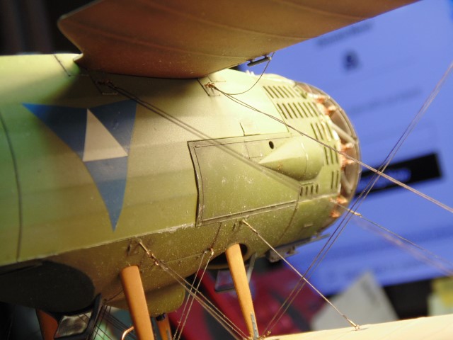 DSC02393 (Small)