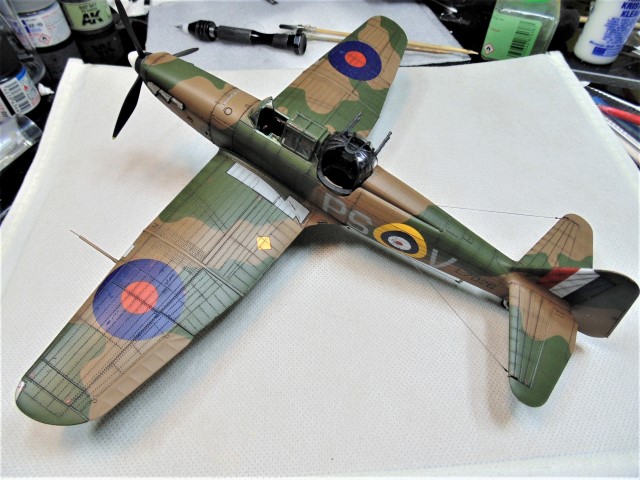 DSC01161 (Small)