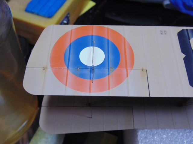 DSC02416 (Small)