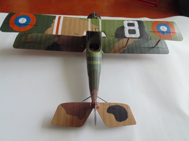 DSC02562 (Small)