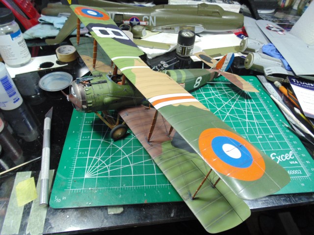 DSC02661 (Small)