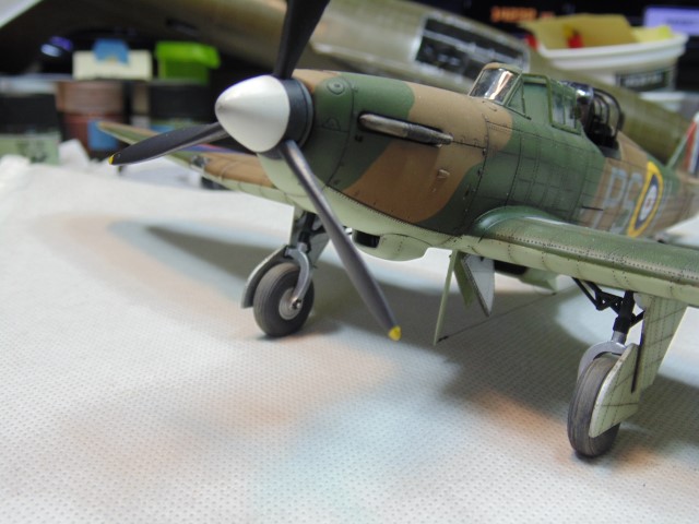 DSC01165 (Small)