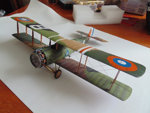 DSC02560 (Small)